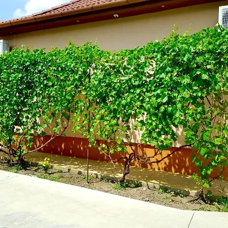 Hajdu Nova * Hajdúnánás